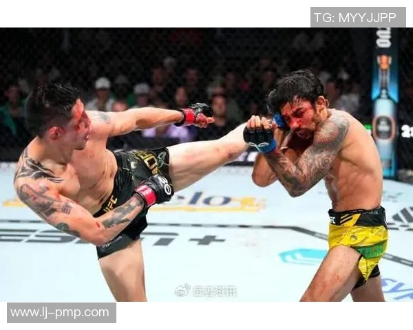 UFC布朗与毁灭者的巅峰对决谁将成为终极战斗之王