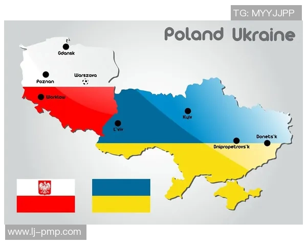 乌克兰与波兰比赛主裁判的执法表现与争议分析