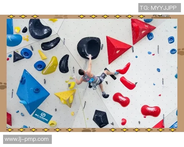 独家解析：北京攀岩队协作能力的深度对比与分析