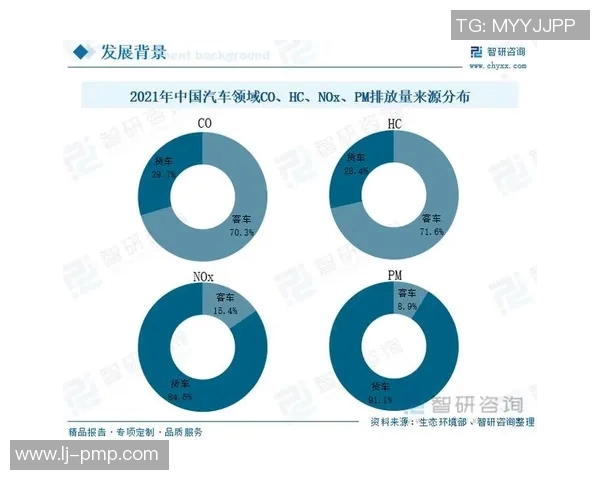 武汉极限运动队的技术探讨与发展现状分析
